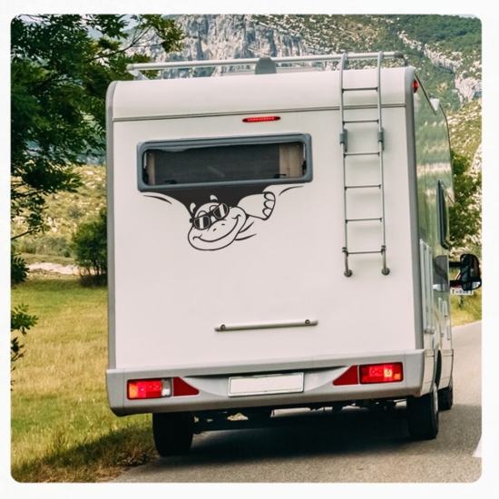 Schildkröte Sticker Aufkleber Autoaufkleber Cool Sonnenbrille Wohnmobil Aufkleber WoMo107